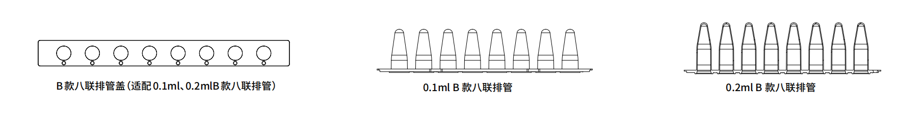 尺寸B.png
